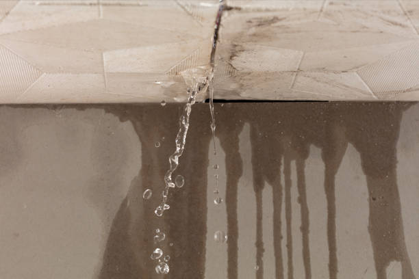 Professional Water Extraction technician working in Alma, AR